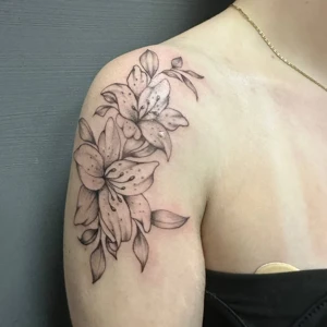 Portfolio Mahsa Nozad Armi