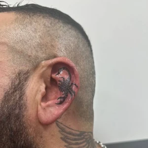 Portfolio Mahsa Nozad Ohr Tattoo 