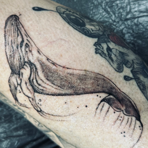 Portfolio Mahsa Nozad Wahl Tattoo 